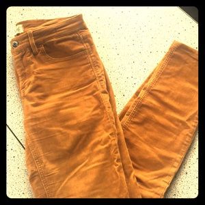 Madewell midrise gold corduroys